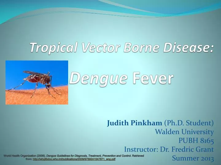 tropical vector borne disease dengue fever