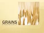 GRAINS - slide 1