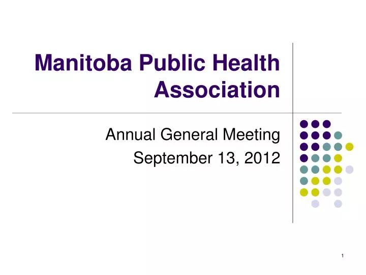 manitoba public health association