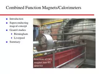 Combined Function Magnets/Calorimeters