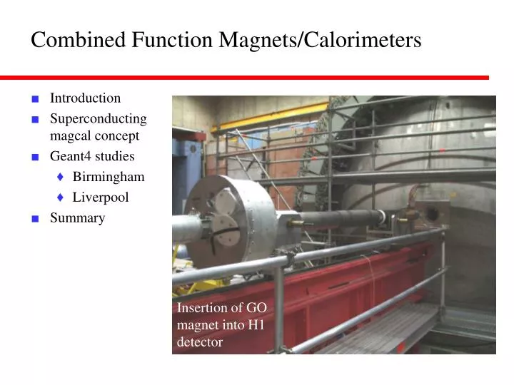 combined function magnets calorimeters