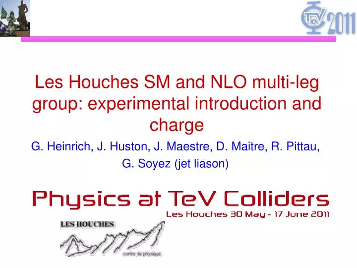 les houches sm and nlo multi leg group experimental introduction and charge