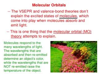 Molecules respond to the many wavelengths of light. The wavelengths that are