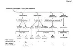 Three-Phase Separation and Recovery of Methanolic Homogenate for Glycan Analysis - slide 1
