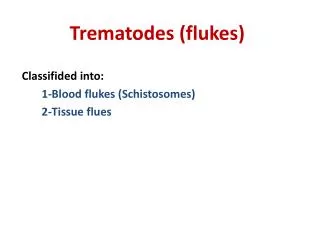 Trematodes (flukes)