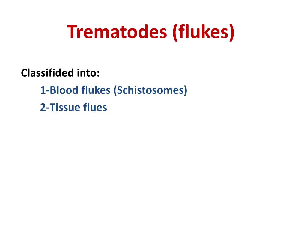 PPT - Trematodes (flukes) PowerPoint Presentation, free download - ID ...
