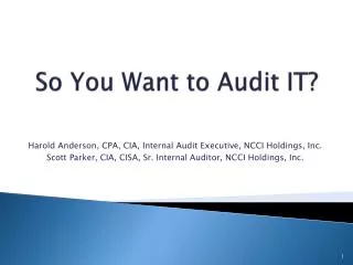 So You Want to Audit IT?