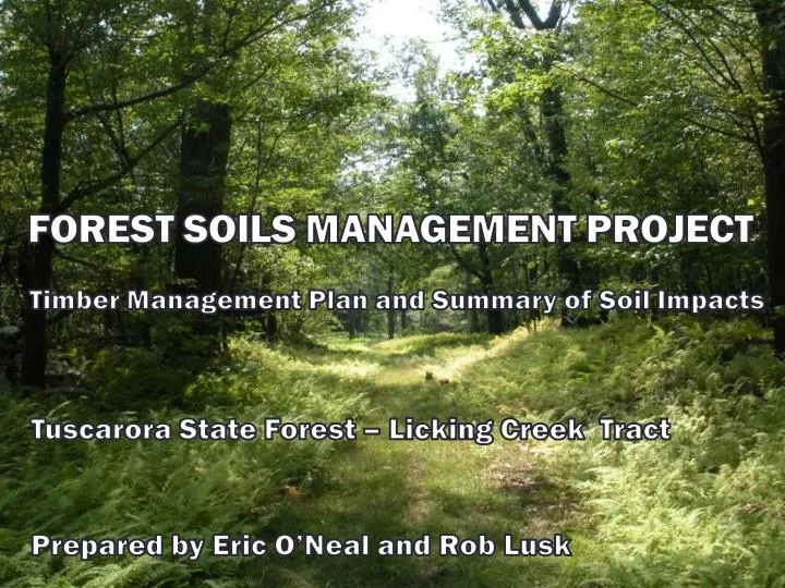 forest soils management project
