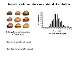 Genetic variation: the raw material of evolution
