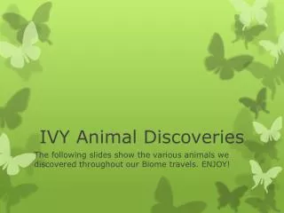 IVY Animal Discoveries