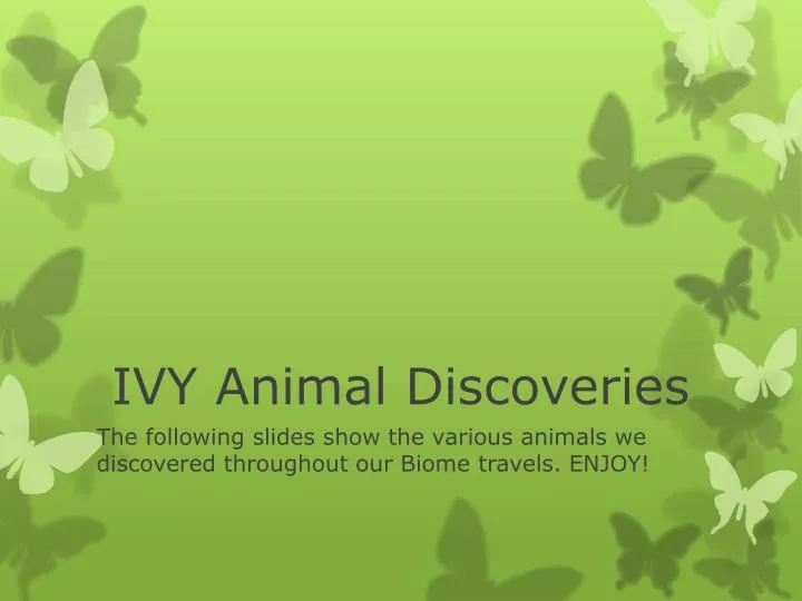 ivy animal discoveries