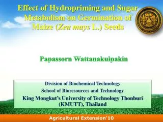 Effect of Hydropriming and Sugar Metabolism on Germination of Maize ( Zea mays L.) Seeds