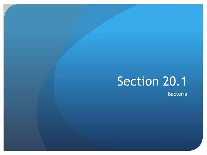section 20 1