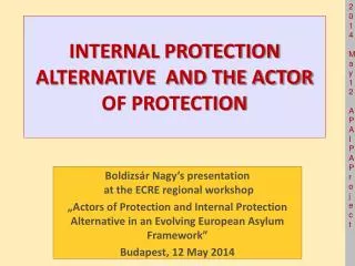 INTERNAL PROTECTION ALTERNATIVE AND THE ACTOR OF PROTECTION