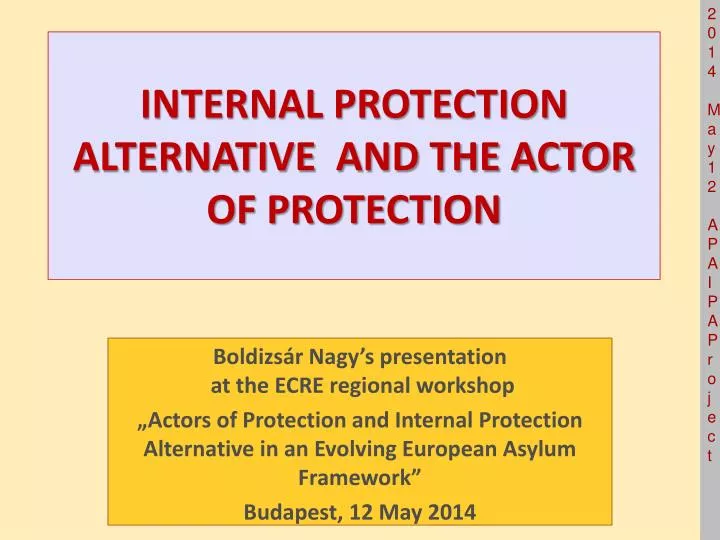 internal protection alternative and the actor of protection