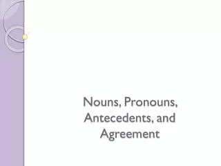 Nouns, Pronouns, Antecedents, and Agreement