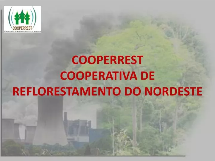 cooperrest cooperativa de reflorestamento do nordeste