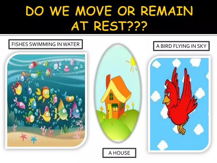do we move or remain at rest