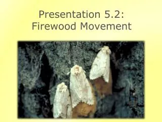Presentation 5.2: Firewood Movement