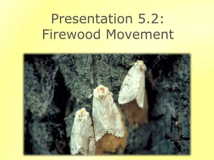 presentation 5 2 firewood movement