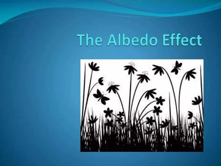 the albedo effect