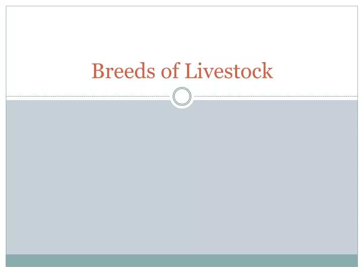 breeds of livestock