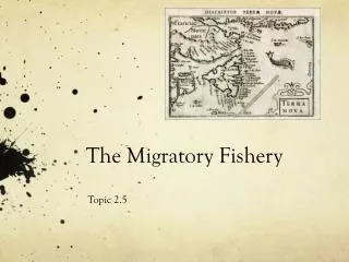 The Migratory Fishery
