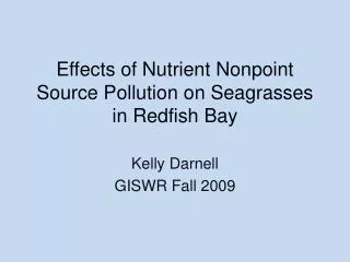 Effects of Nutrient Nonpoint Source Pollution on Seagrasses in Redfish Bay