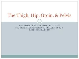 The Thigh, Hip, Groin, &amp; Pelvis