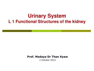 Urinary System L 1 Functional Structures of the kidney
