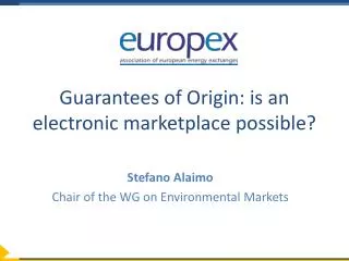 Guarantees of Origin: is an electronic marketplace possible?