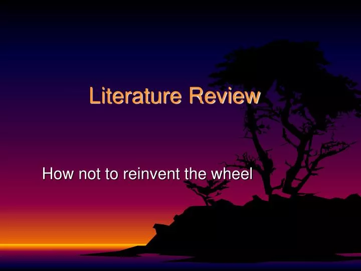 literature review