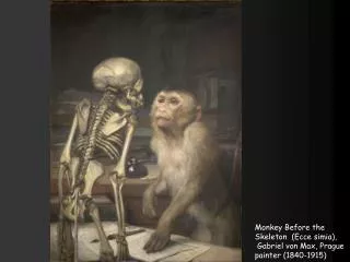 Monkey Before the Skeleton (Ecce simia ), Gabriel von Max, Prague painter (1840-1915)