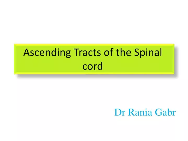 ascending tracts of the spinal cord