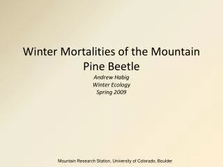 Winter Mortalities of the Mountain Pine Beetle Andrew Habig Winter Ecology Spring 2009