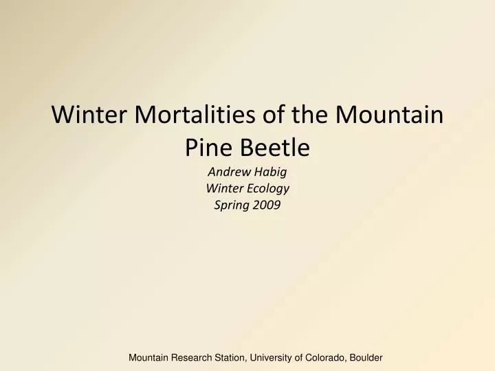 winter mortalities of the mountain pine beetle andrew habig winter ecology spring 2009