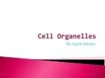 Cell Organelles - slide 1