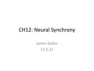 CH12: Neural Synchrony