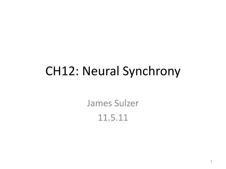 ch12 neural synchrony