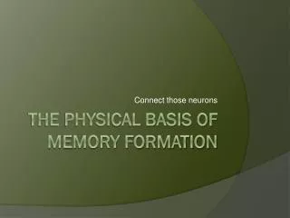 The physical basis of memory formation