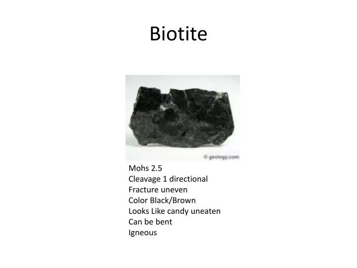 biotite