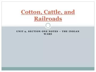 Cotton, Cattle, and Railroads