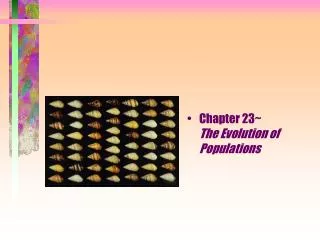 Chapter 23~ The Evolution of Populations
