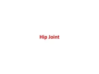 Hip Joint