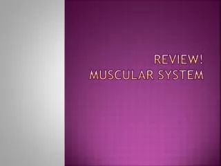 Review! Muscular System
