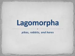 Lagomorpha