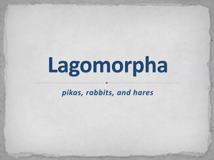 lagomorpha