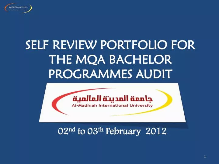self review portfolio for the mqa bachelor programmes audit