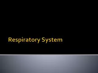 Respiratory System