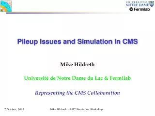 Pileup Issues and Simulation in CMS